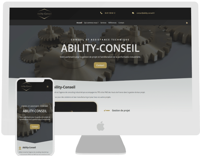 aperçu du site internet ability conseil